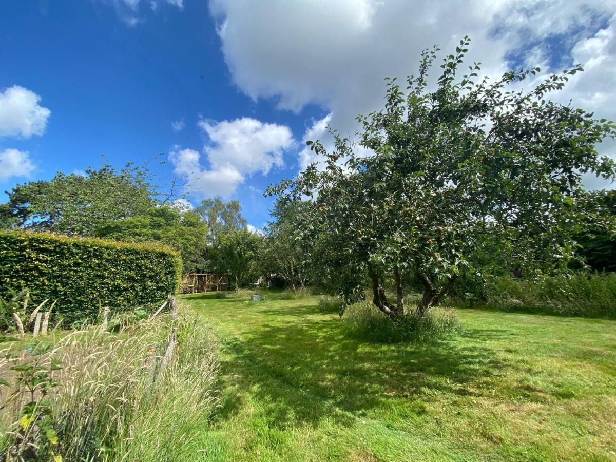Vane Cottage - Lewes Exterior foto